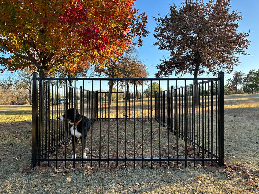 Dog Run Fence Kennel OKC Oklahoma